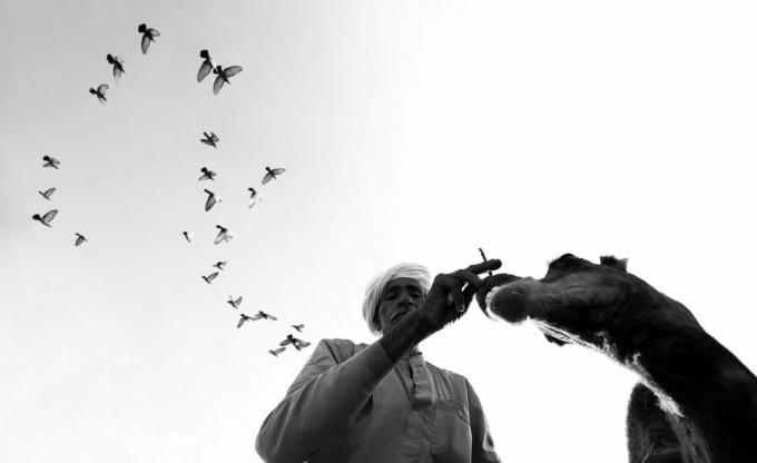 Dimpy Bhalotian valokuvissa on pieniä elämänviipaleita epätavallisista kulmista.