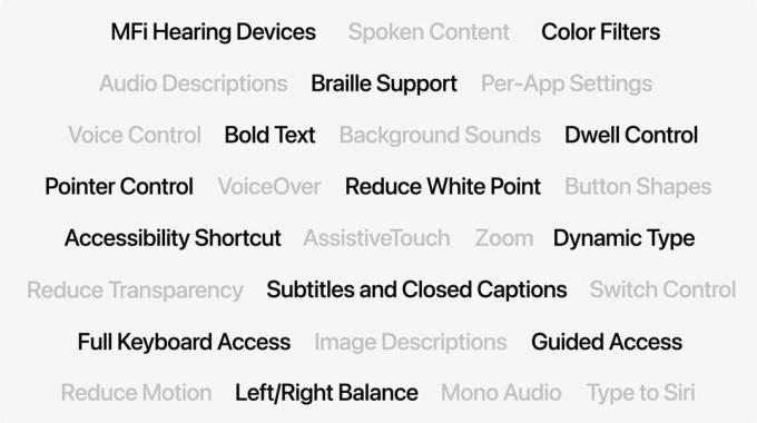 Načúvacie prístroje MFi Hovorený obsah, Farebné filtre Zvukové popisy Podpora Braillovho písma pre jednotlivé aplikácie Nastavenia hlasového ovládania Tučný text na pozadí Zvuky Zotrvať ControlPointer Ovládanie VoiceOver Znížiť biely bod Tvary tlačidiel Prístupnosť Skratka Pomocný Dotykový Priblíženie Dynamický TypZnížiť priehľadnosť Prepínač titulkov a skrytých titulkov Ovládanie na plnú klávesnicu Popisy k obrázku Riadený prístup Znížiť pohyb VľavoVpravo Vyvážiť Mono Audio Tvpe na Siri