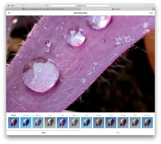 Usa i filtri di Instagram in Safari sul Mac.