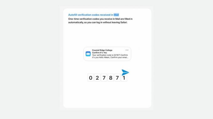 Safari in iOS 17 füllt automatisch Bestätigungscodes aus Mail aus.
