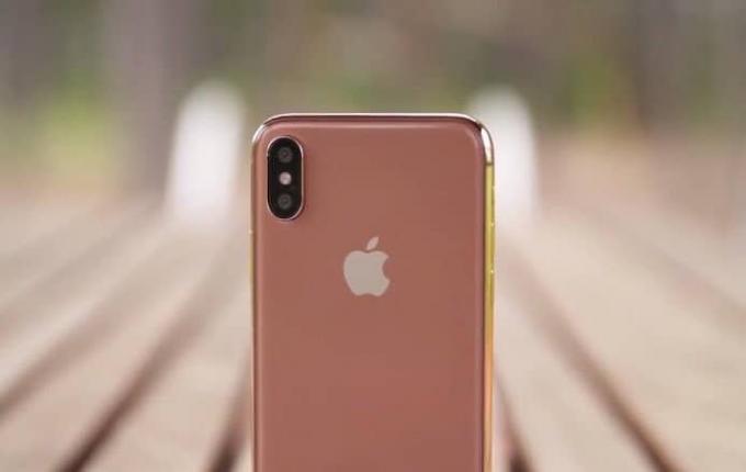 Ulita rdeča zlata fotografija iPhone X izgleda odlično.