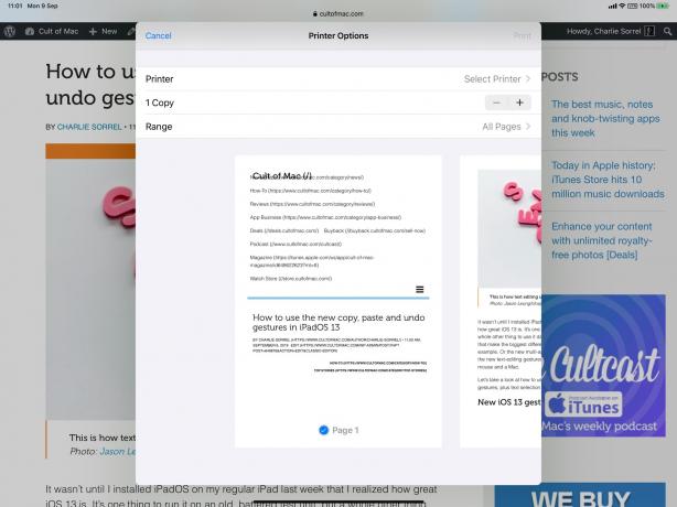 Den nya utskriftsvyn är redan ganska ren. Det är bra för att göra PDF -skärmdumpar i iOS 13.