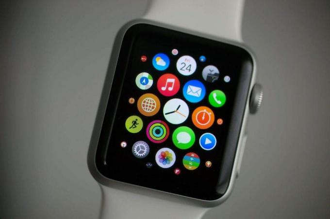 Apple Watch ალან საღებავი