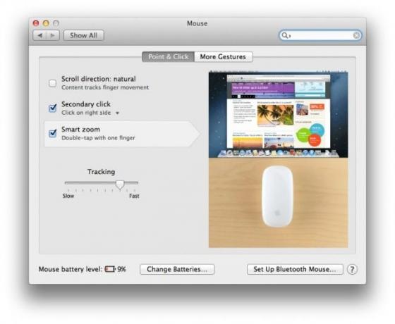 Zoom inn Safari -mus eller styreflate
