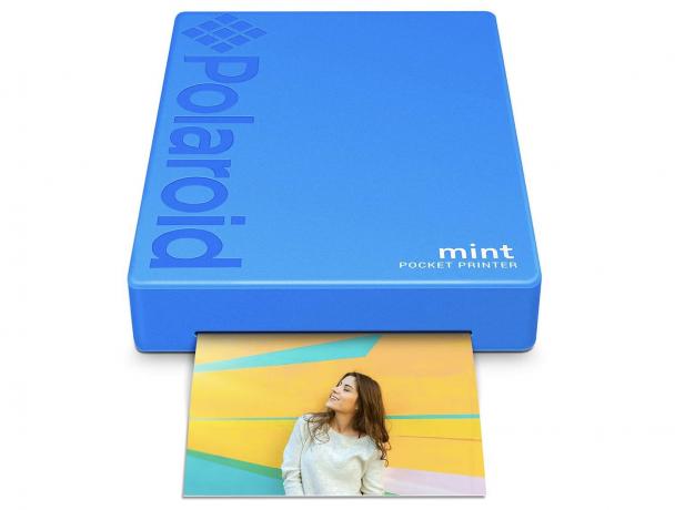Polaroid-Mint