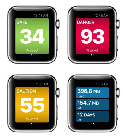 Apple Watch için DataMan