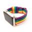 Nyloon arată mândrie LGBT cu trupa curcubeu Apple Watch