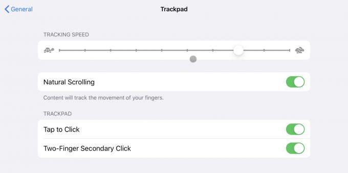 إعدادات أحدث Magic Trackpad على iPad Pro.
