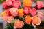 Wil je een waterdicht moederdagcadeau? Verzend 2 dozijn rozen voor minder dan $ 45.