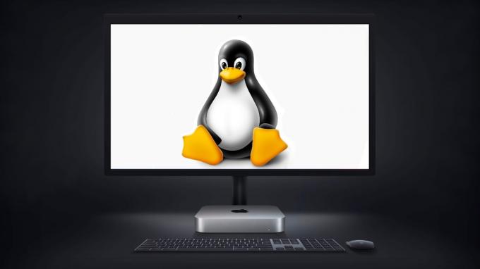 M1 Mac पर Linux संभव है। बहुत काम के साथ।