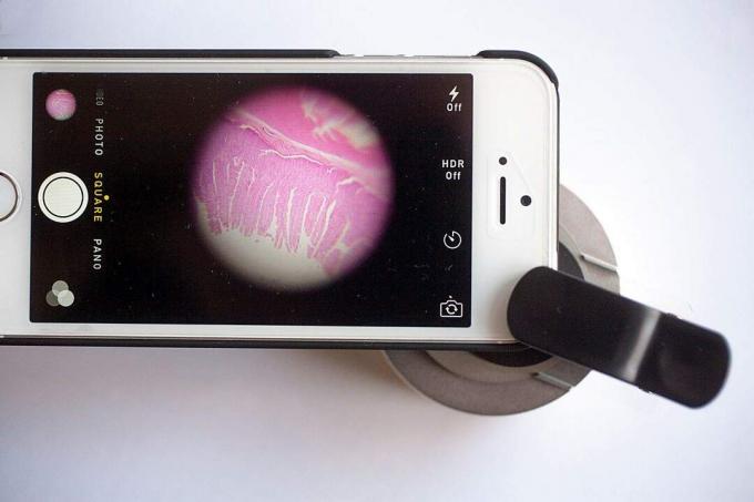 Комплект uHandy превращает приложение камеры iPhone в мобильный микроскоп. Фото: Дэвид Пьерини / Cult of Mac