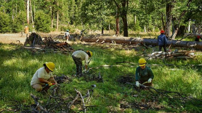 YAS ja ALCC tekivät yhteistyötä Great Basin Instituten kanssa varmistaakseen laitteet El Capitan Meadowin polttoaineiden vähentämistyöhön. Miehistön jäsenet ovat koulutettuja teknisiin taitoihin, kuten kaatuneiden raajojen moottorisahaamiseen ja puiden kaatoon