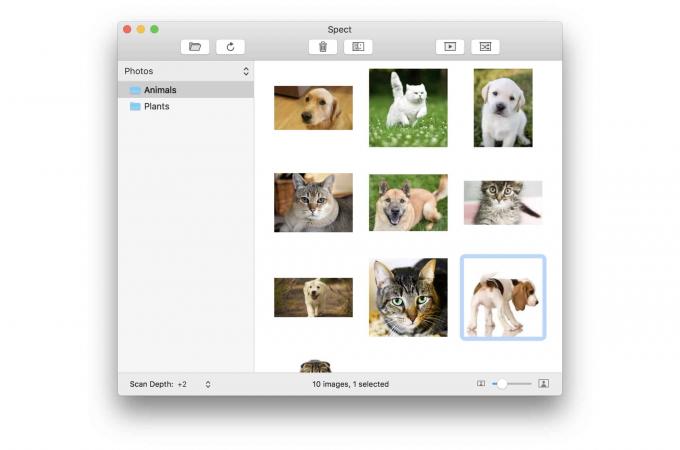 Spect è un browser di immagini ultraleggero del fondatore di Panic Steven Frank.