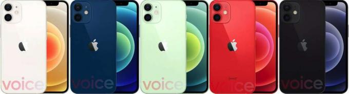 iPhone 12 mini kaikissa saatavilla olevissa väreissä