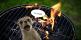 Το Twitter αναλαμβάνει το Meerkat με ζωντανή εφαρμογή βίντεο Periscope