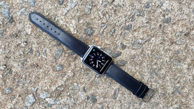 Speidel Royal English Leather Apple Watch Band anmeldelse