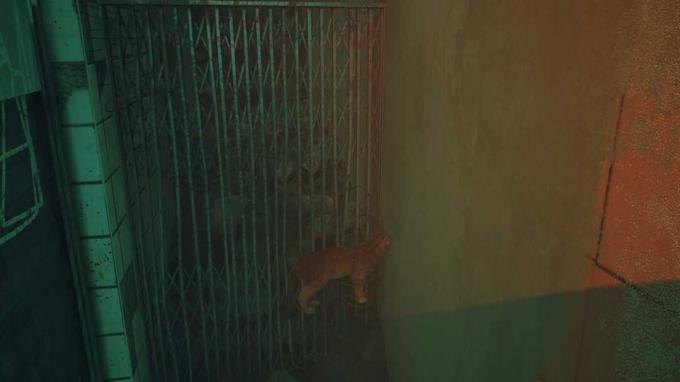 Tangkapan layar dari Stray. Kucing itu berdiri di lantai yang tidak terlihat, menembus kawat berduri dan dinding.