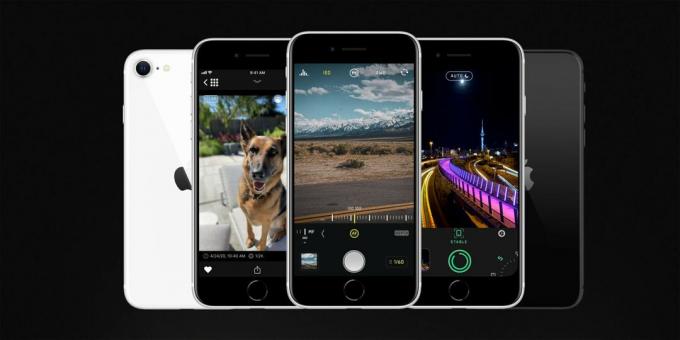Fotografie mazlíčků pro iPhone SE: S Halide Camera and Spectre můžete rozzářit každého ve vaší domácnosti, člověka nebo jiného.