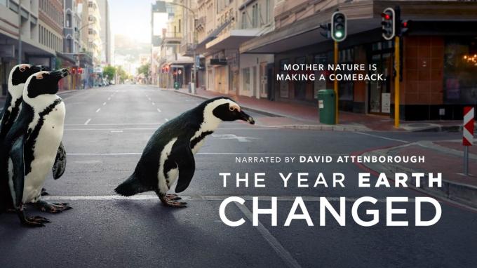 Myös pingviinit täyttävät meidät < em> Maa muuttui -vuonna </em>.