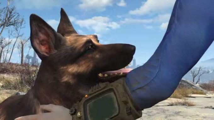 Fallout 4 koira