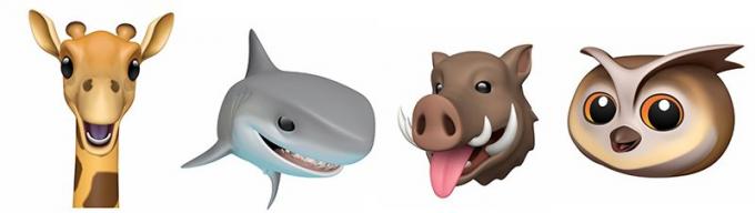 Jaunā iOS 12.2 Animoji: žirafe, haizivs, kuilis un pūce.