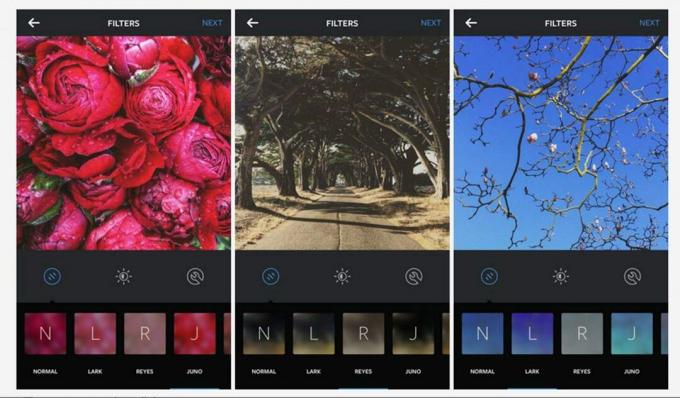 Lark, Reyes ve Juno, Instagram için üç yeni filtre. Fotoğraf: Instagram
