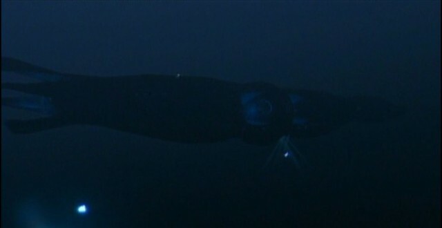 SeaQuest는 오징어 모양이었습니다. 왜 안될까요? 사진: NBC