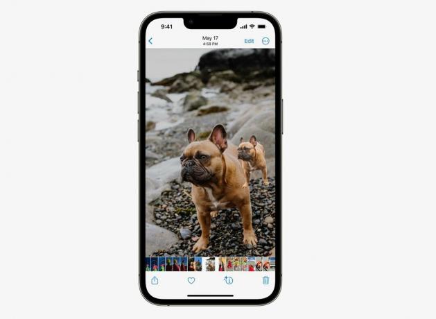 iOS 16:n ominaisuus WWDC22: iOS 16 tekee taustan poistamisesta kuvasta uskomattoman helppoa.