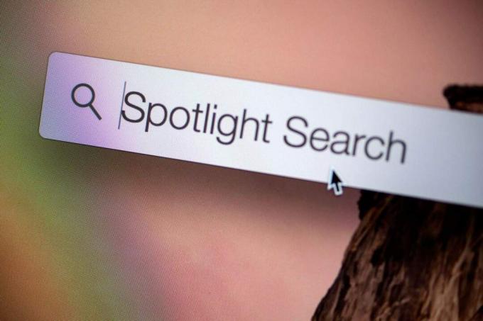 „Spotlight“ paieška gali būti daug geresnė nei ji yra. Nuotrauka: Jimas Merithew/„Mac“ kultas