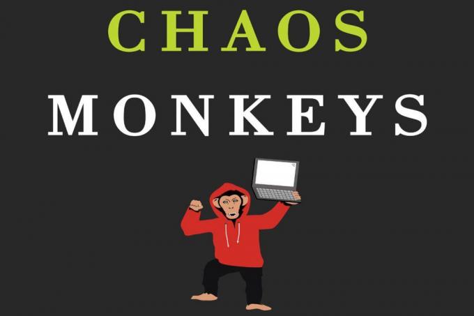 Chaoso beždžionės