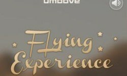 pengalaman terbang