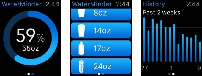 WaterMinder ამარტივებს მარტივად თვალყურს ადევნებთ წყლის მიღებას თქვენს მაჯაზე შეხებით.
