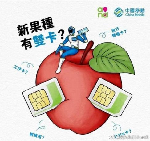 „China Mobile“ dviejų SIM kortelių „iPhone“