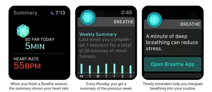Aplikace Breathe poskytuje souhrny, aby vám ukázala, jak si vedete.