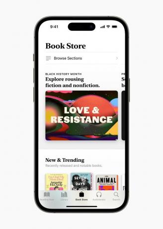 Monat der schwarzen Geschichte in Apple Books