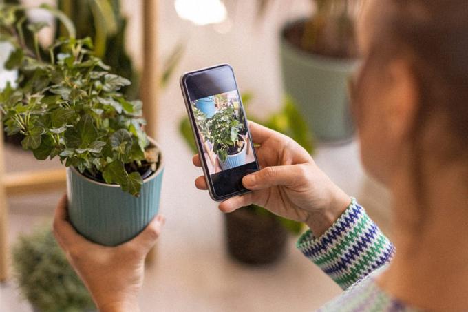 이 20달러짜리 앱은 14,000종이 넘는 식물 종을 식별할 수 있습니다.