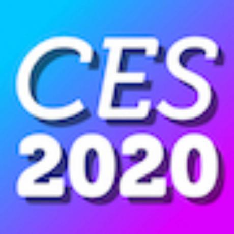 Выставка CES-2020-bug-2