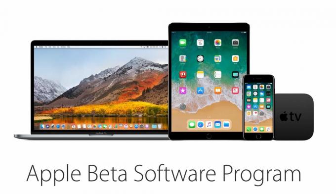 „Apple Beta“ programinė įranga